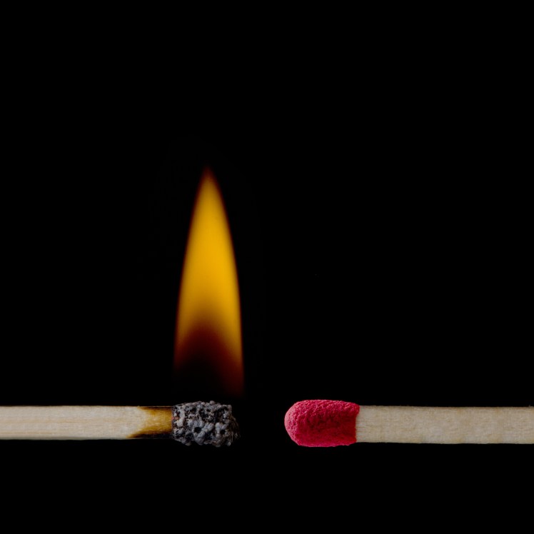 shutterstock_134349896